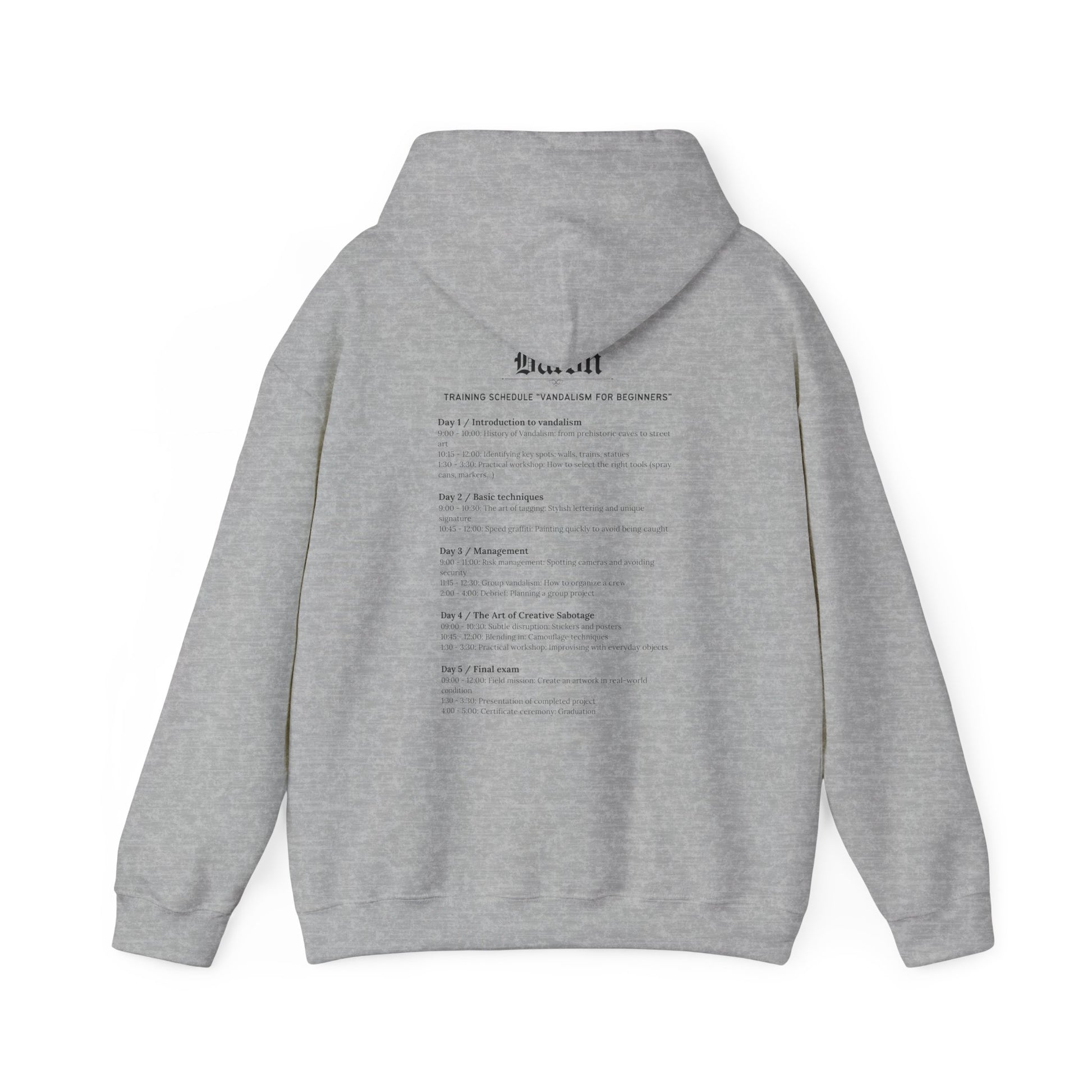 'Vandalism for Beginners' - Unisex Heavy Blend™ Hooded Sweatshirt - Maison Baron - Maison Baron