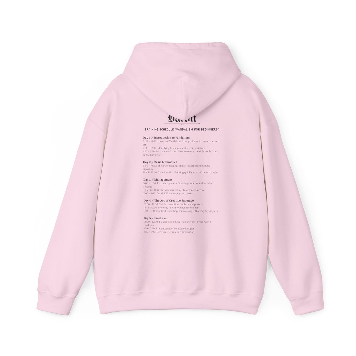 'Vandalism for Beginners' - Unisex Heavy Blend™ Hooded Sweatshirt - Maison Baron - Maison Baron